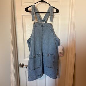 Celebrity Pink Light Blue Denim Overalls